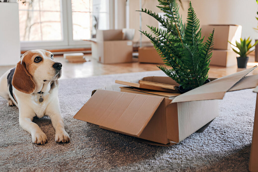 Pet & Plant Relocation Services